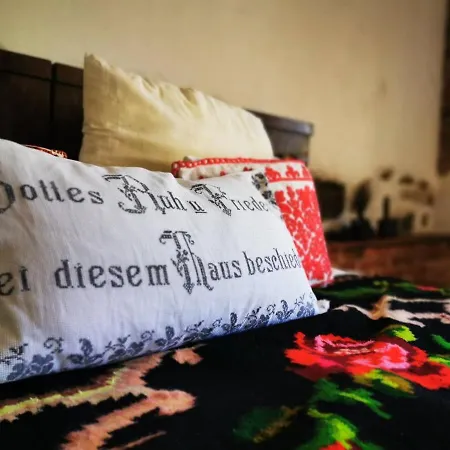 Richis 22 Richisu